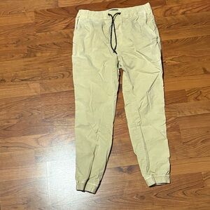 American Eagle Outfitters Beige Joggers